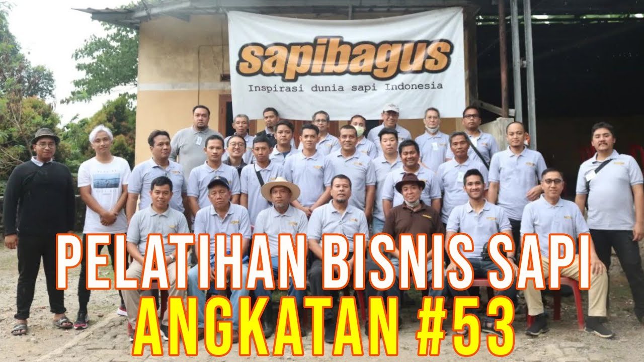 
                                 Antusias-Peternak-Sapi-Pemula-Hingga-Profesional-Mengikuti-Pelatihan-Bisnis-Sapi-Angkatan-53